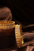 Lakshmi coin bangles antique-2pcs