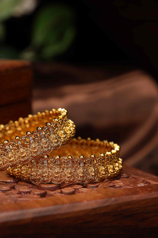 Lakshmi coin bangles antique-2pcs
