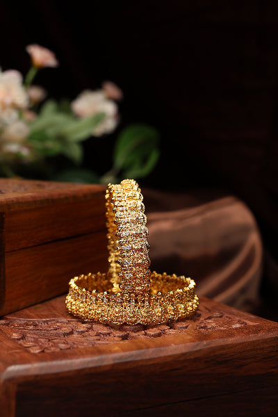 Lakshmi coin bangles antique-2pcs
