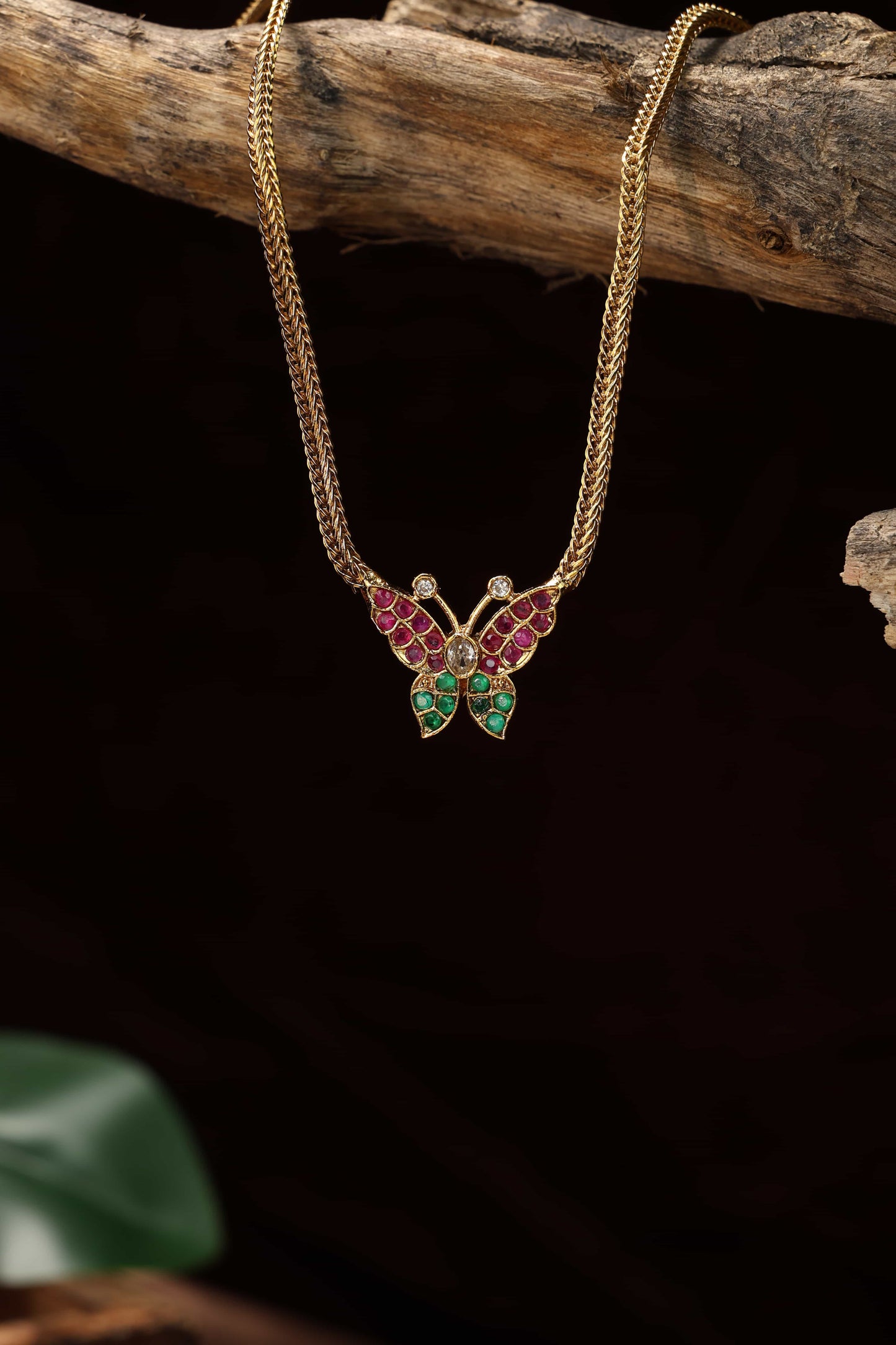 Cute butterfly muliticolor attigai
