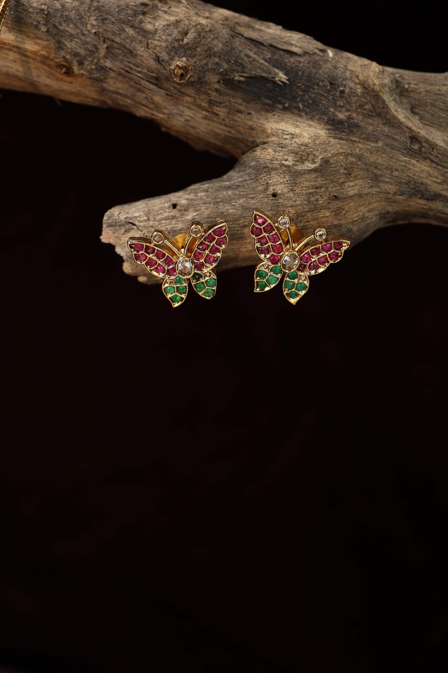 Cute butterfly muliticolor attigai