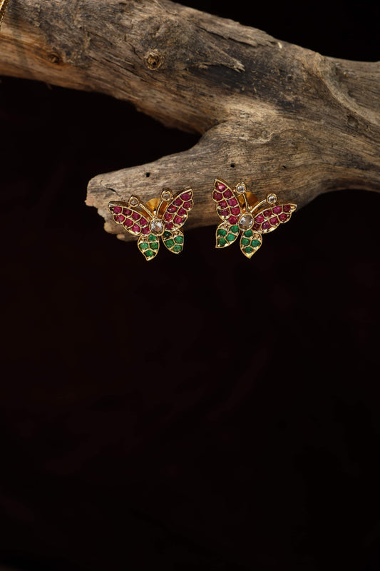 Cute butterfly muliticolor attigai